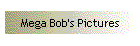 Mega Bob's Pictures